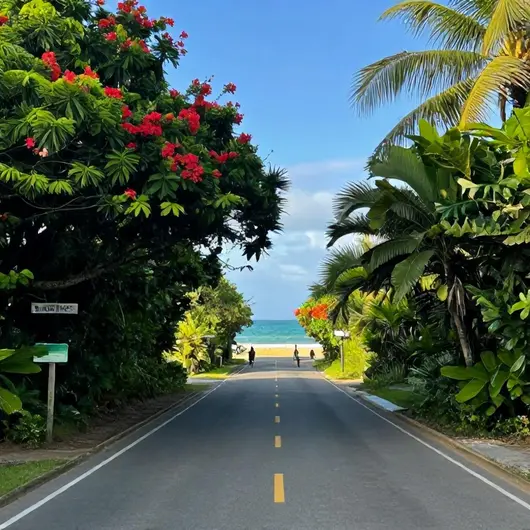 Como Chegar à PE-60: Seu Guia Completo para a Cidade de Cabo de Santo Agostinho