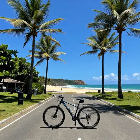 Como Chegar de Porto de Galinhas ao Cabo de Santo Agostinho