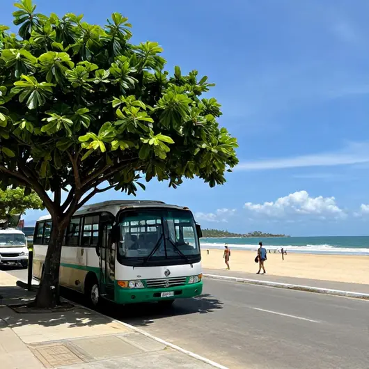 Como Utilizar o Ônibus para Acessar as Praias de Cabo de Santo Agostinho Como Utilizar o Ônibus para Acessar as Praias de Cabo de Santo Agostinho