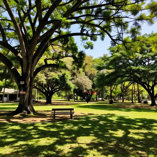 Coqueiral Park: Um Refúgio de Lazer em Meio à Natureza