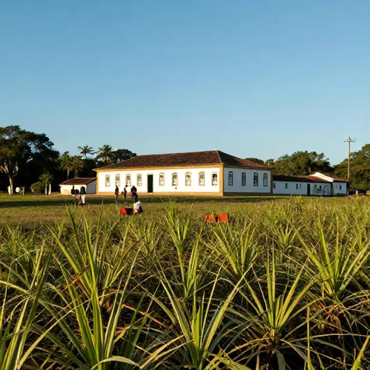 Descubra a História e Cultura do Engenho Massangana em Cabo de Santo Agostinho