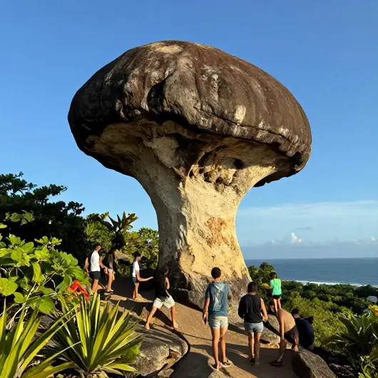 Descubra a Pedra do Cogumelo: Uma Jóia da Cidade de Cabo de Santo Agostinho