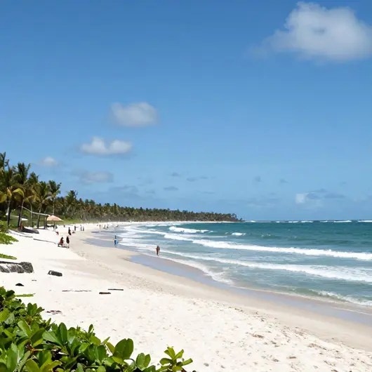 Descubra a Praia dos Carneiros: Um Paraíso em Cabo de Santo Agostinho