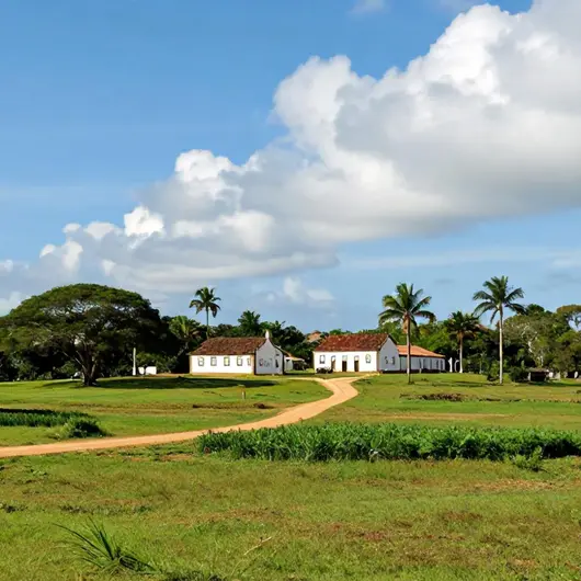 Descubra o Engenho Novo: Um Tesouro do Turismo Rural em Cabo de Santo Agostinho Descubra o Engenho Novo: Um Tesouro do Turismo Rural em Cabo de Santo Agostinho