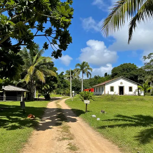 Descubra o Engenho Novo: Um Tesouro do Turismo Rural em Cabo de Santo Agostinho