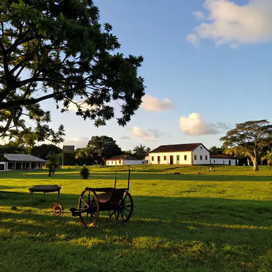 Descubra o Engenho Trapiche: Um Tesouro do Turismo Rural em Cabo de Santo Agostinho