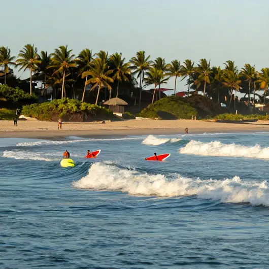 Descubra o Melhor do Surf no Cabo de Santo Agostinho