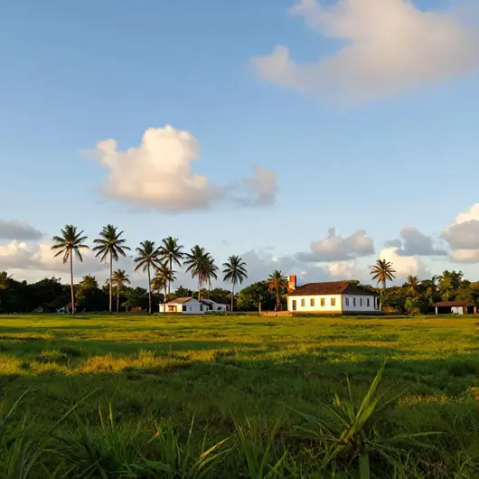 Explorando a Zona Rural do Cabo de Santo Agostinho: Belezas e Tradições