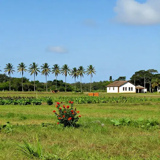 Explorando a Zona Rural do Cabo de Santo Agostinho