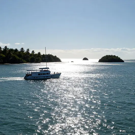 Explorando o Paraíso: Passeio de Catamarã em Cabo de Santo Agostinho
