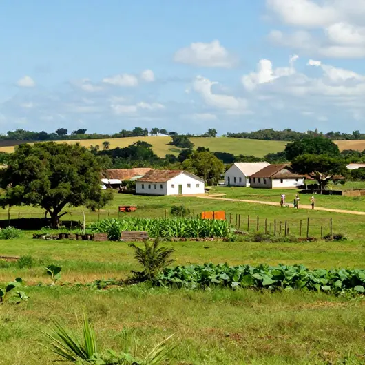 Explorando o Turismo Rural em Jussaral: Um Guia Completo