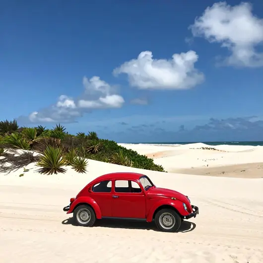Explore as Belezas de Cabo de Santo Agostinho com um Passeio de Buggy