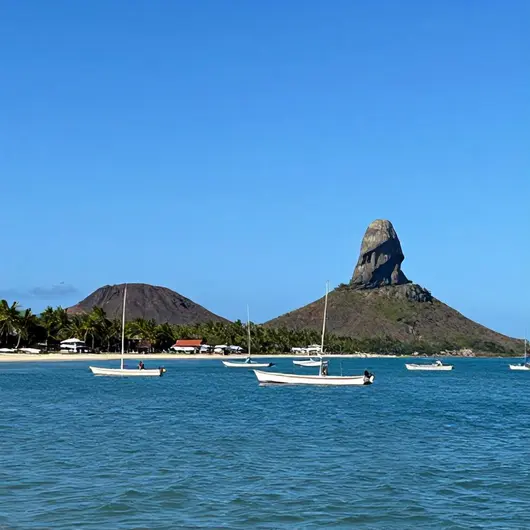 Explore o Passeio de Catamarã em Cabo de Santo Agostinho