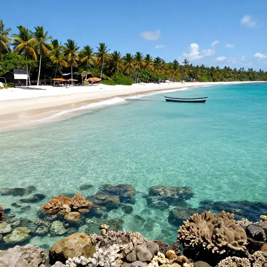 Explore Porto de Galinhas: Seu Destino de Bate-Volta Perfeito