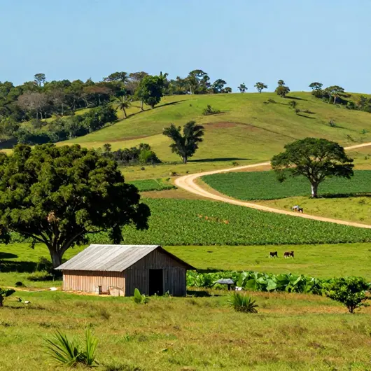 Jussaral: Um Tesouro do Turismo Rural em Cabo de Santo Agostinho