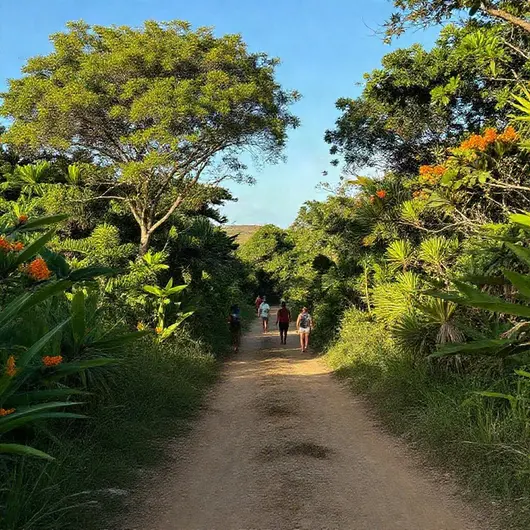 Melhores Trilhas para Iniciantes em Cabo de Santo Agostinho