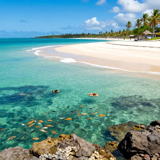 Porto de Galinhas: O Paraíso Tropical ao Lado de Cabo de Santo Agostinho