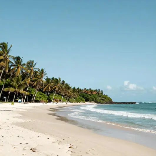 Praia da Enseada dos Corais