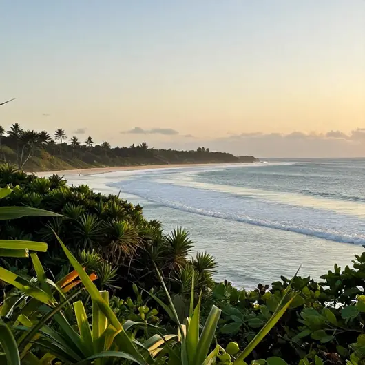 Praia dos Carneiros: Um Paraíso em Cabo de Santo Agostinho