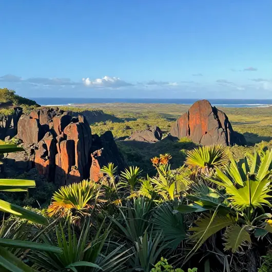 Rochas Vulcânicas: Beleza e História em Cabo de Santo Agostinho