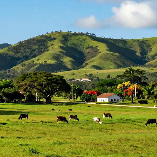 Roteiro de Turismo Rural em Cabo de Santo Agostinho