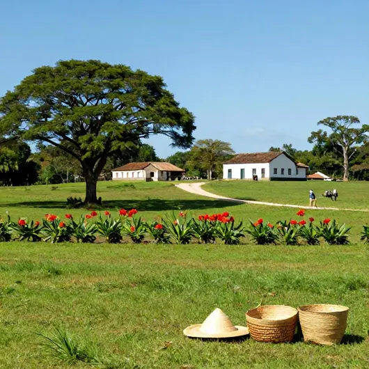 Roteiro Rural em Cabo de Santo Agostinho: Explore a Natureza e Tradições Roteiro Rural em Cabo de Santo Agostinho: Explore a Natureza e Tradições
