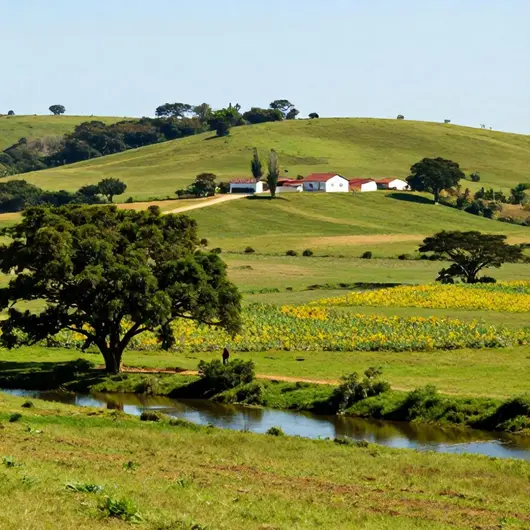 Roteiro Rural: Explorando as Belezas do Interior de Cabo de Santo Agostinho