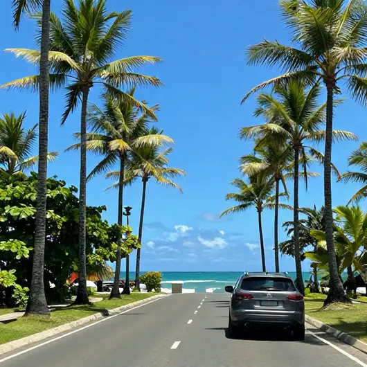 Transfer de Porto de Galinhas: Como Chegar com Conforto a Cabo de Santo Agostinho
