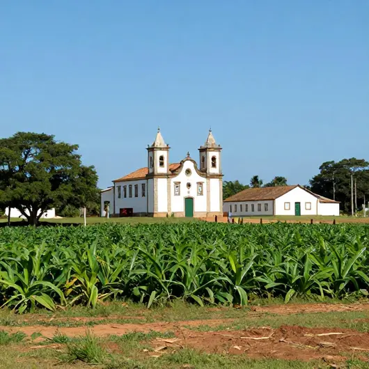 Usina Bom Jesus: Um Patrimônio da Cultura e História de Cabo de Santo Agostinho